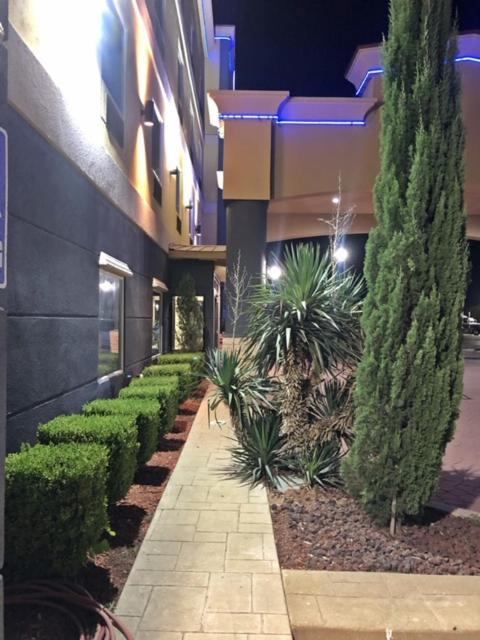 Robinson Inn And Suites Buitenkant foto